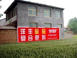 海宁如何让墙体广告展现最大化效果
