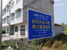 海宁墙体广告质量分析