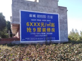 海宁品牌公司青睐的墙体广告
