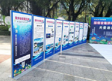 海宁KT板的种类和知识。